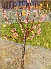Peach Canvas Paintings - Peach Tree in Blossom